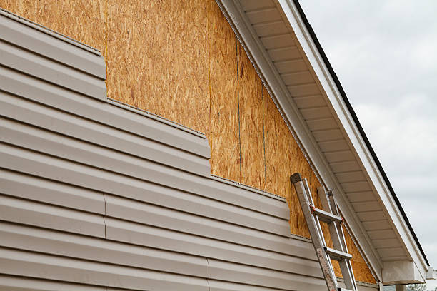 Professional Siding Repair technician working in Germantown, KY